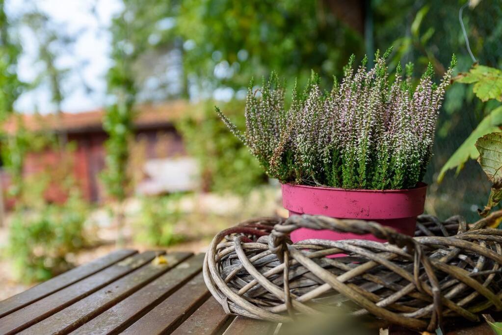 Spacious Wooden Cottage With Infra-Red Sauna At Veluwe Putten Exteriör bild